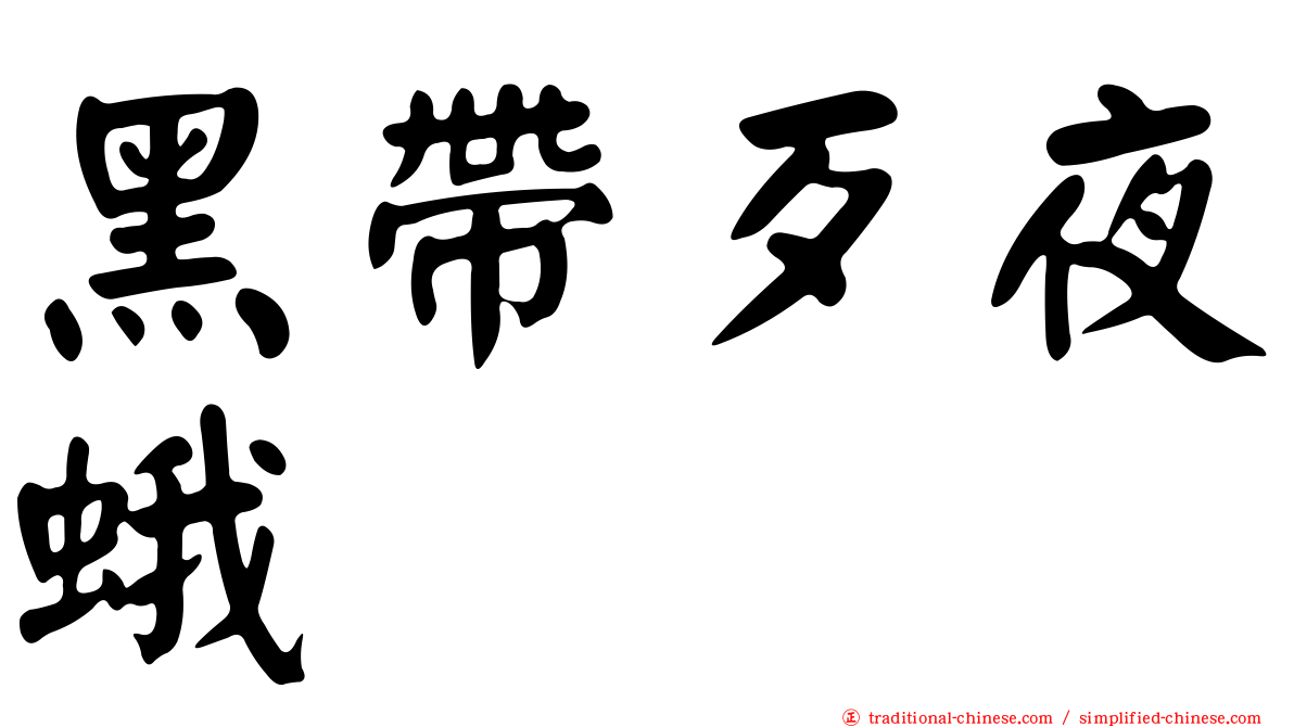 黑帶歹夜蛾