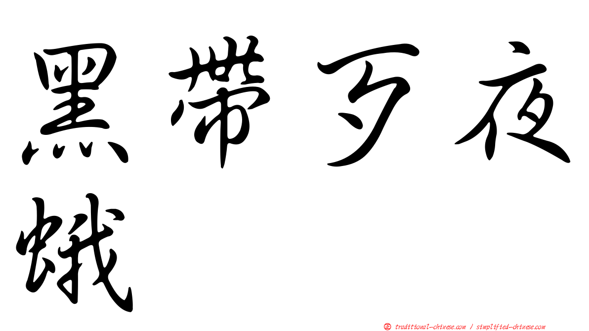 黑帶歹夜蛾