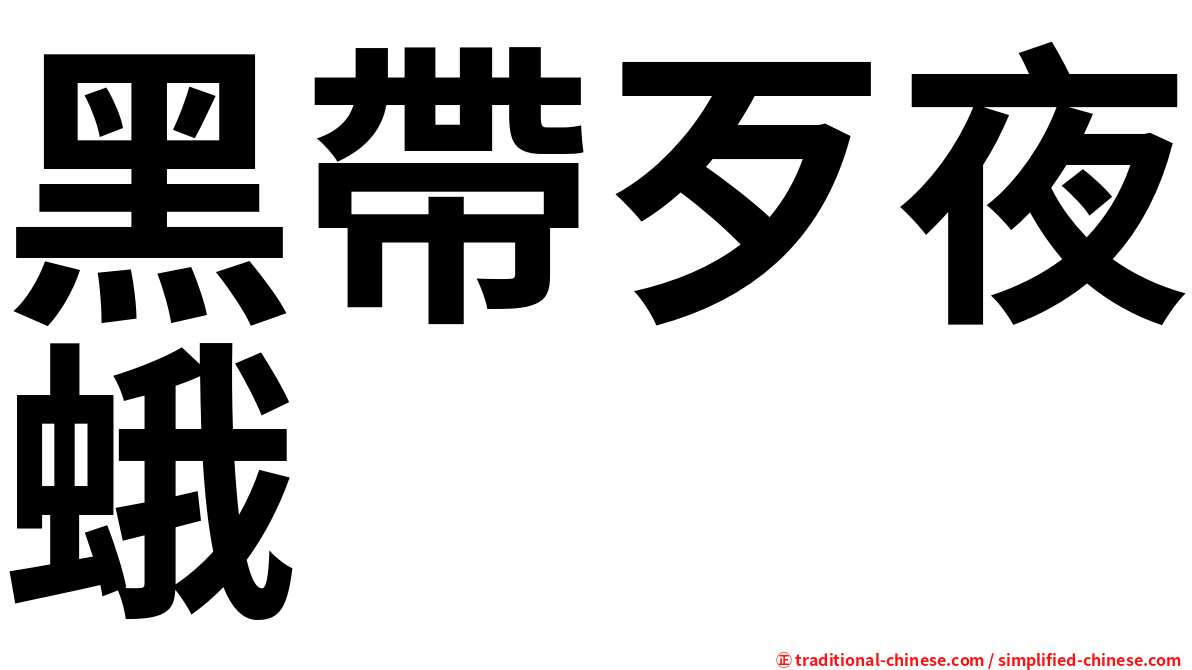 黑帶歹夜蛾