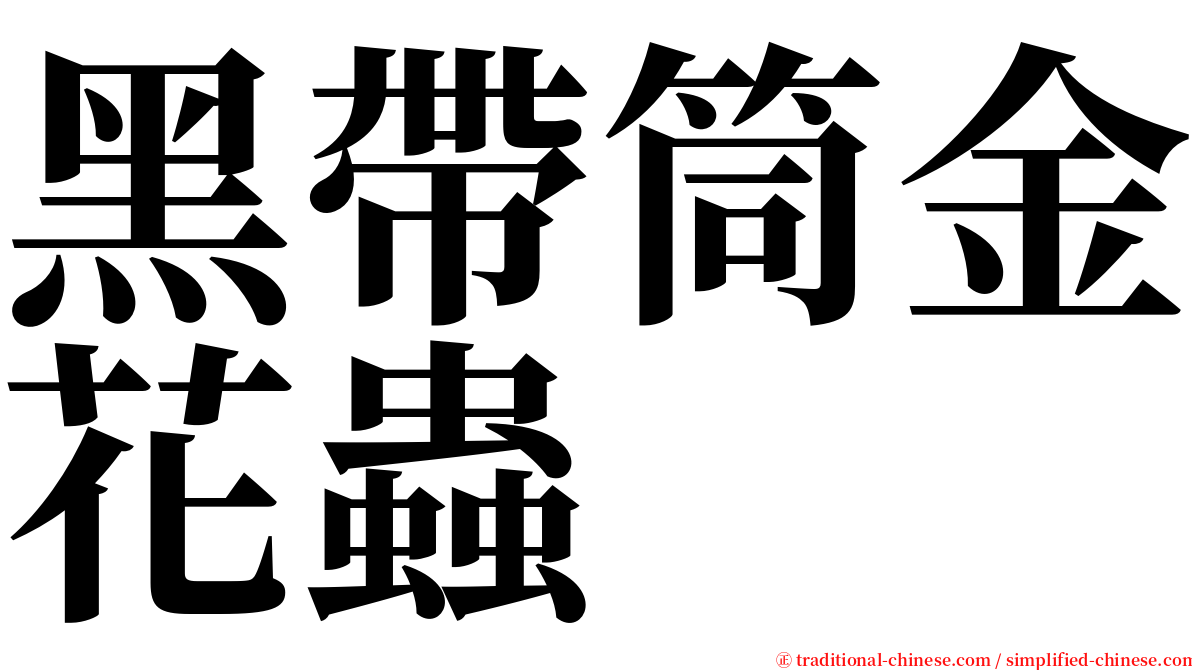 黑帶筒金花蟲 serif font