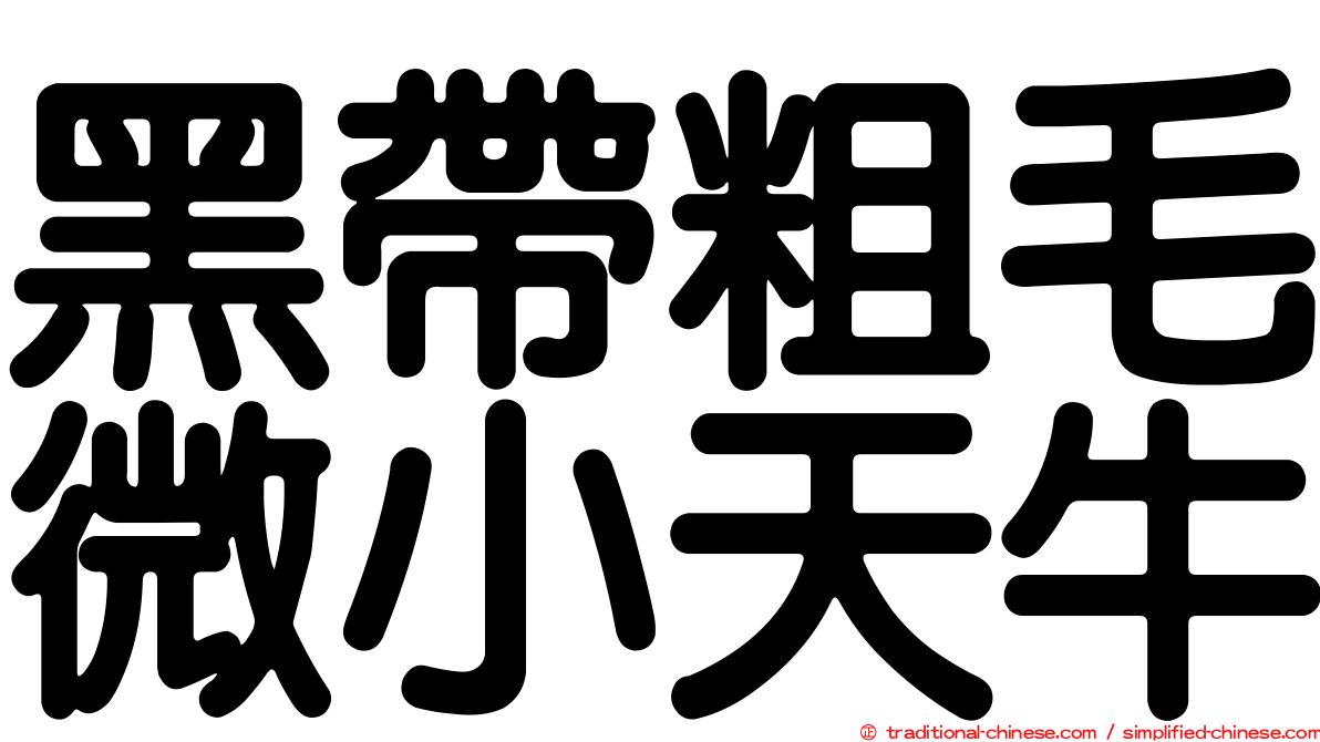 黑帶粗毛微小天牛