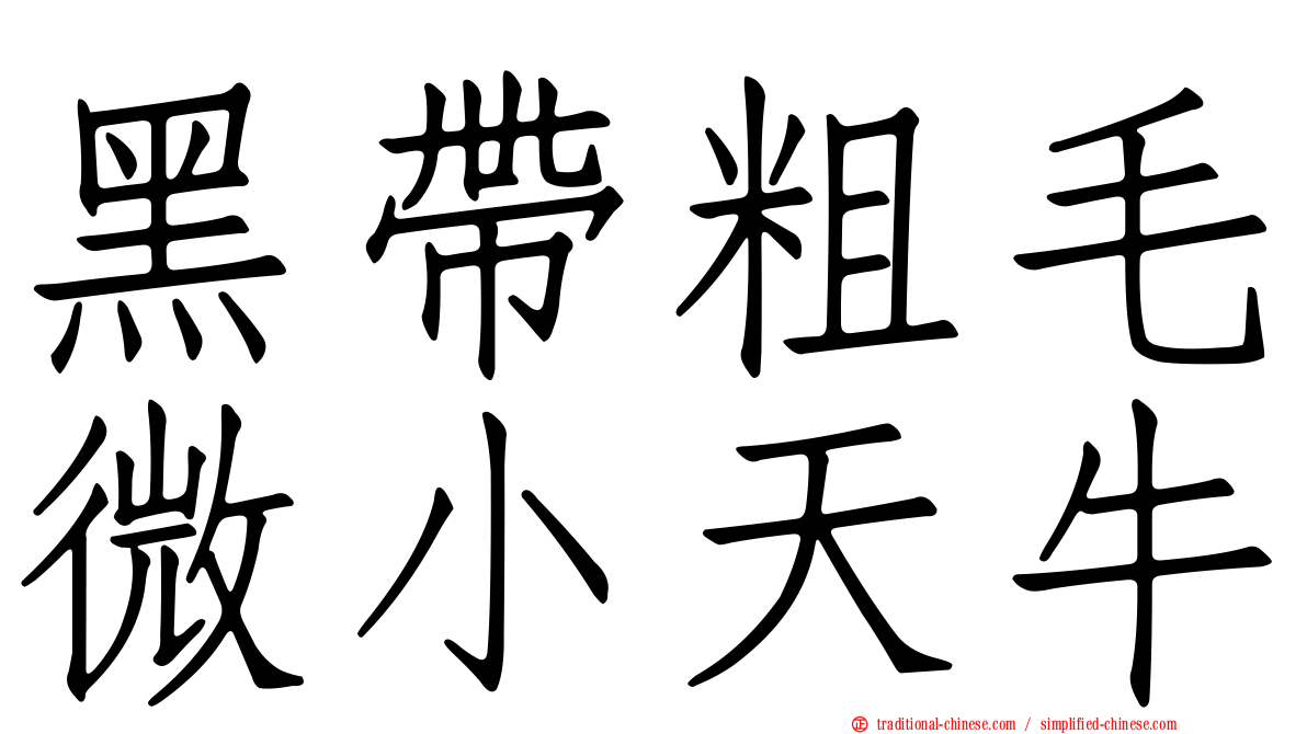 黑帶粗毛微小天牛