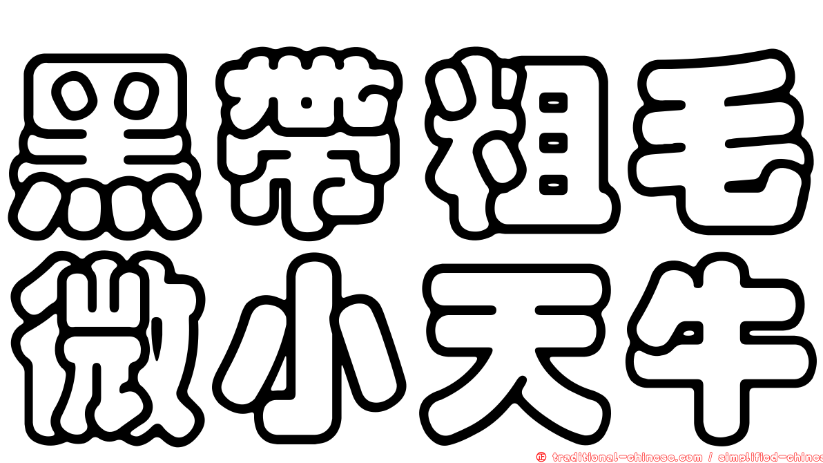 黑帶粗毛微小天牛