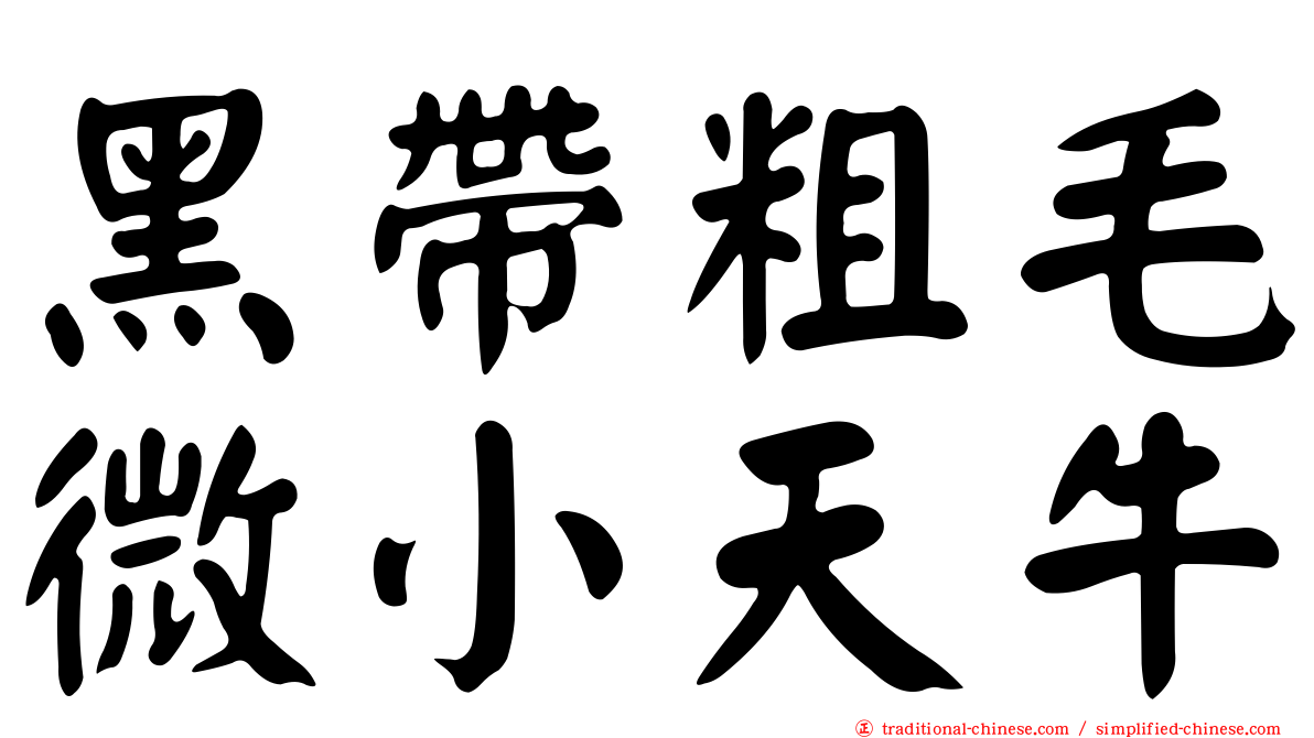 黑帶粗毛微小天牛
