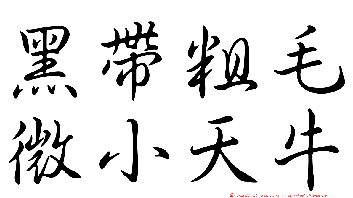 黑帶粗毛微小天牛