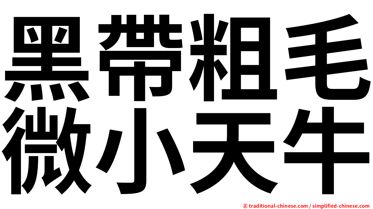 黑帶粗毛微小天牛