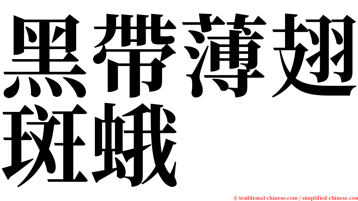 黑帶薄翅斑蛾 serif font