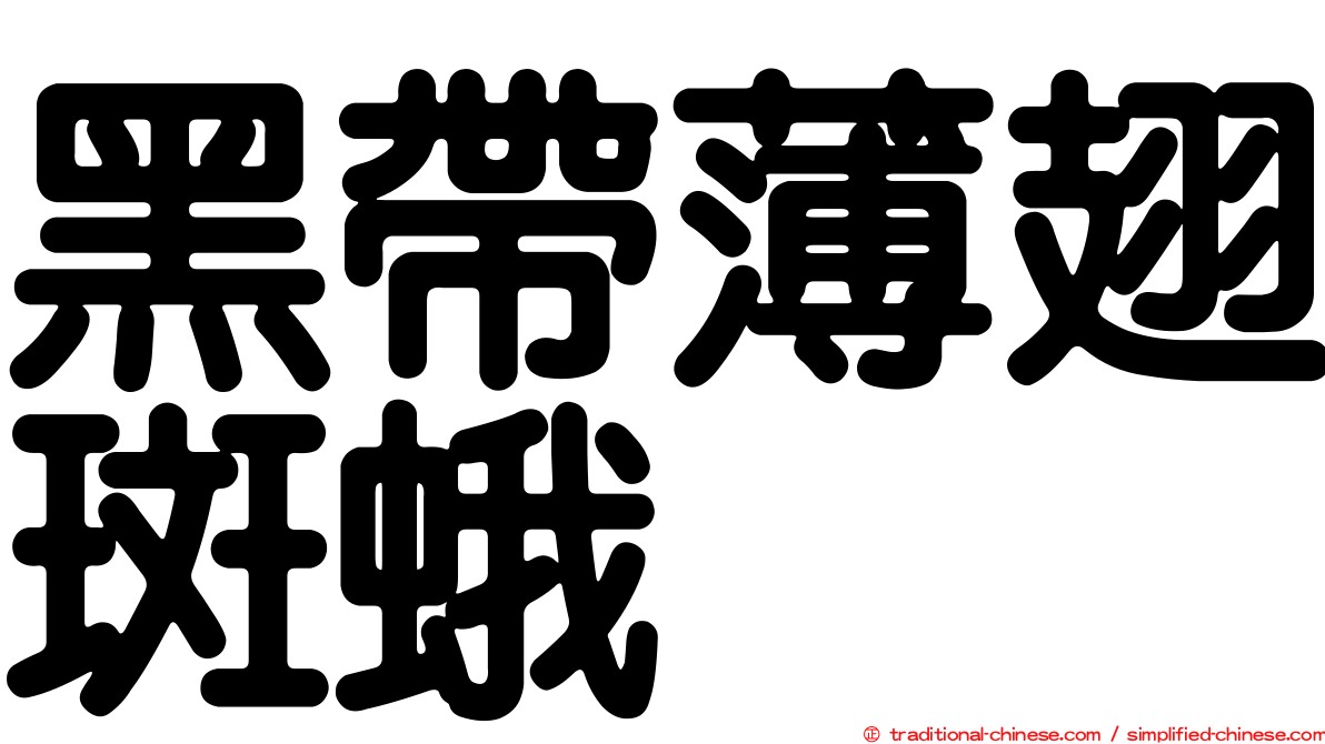 黑帶薄翅斑蛾