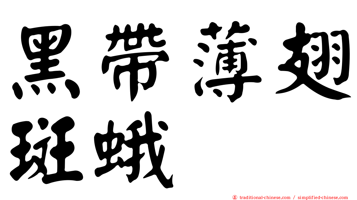 黑帶薄翅斑蛾