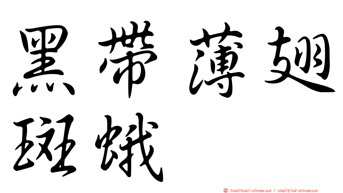 黑帶薄翅斑蛾