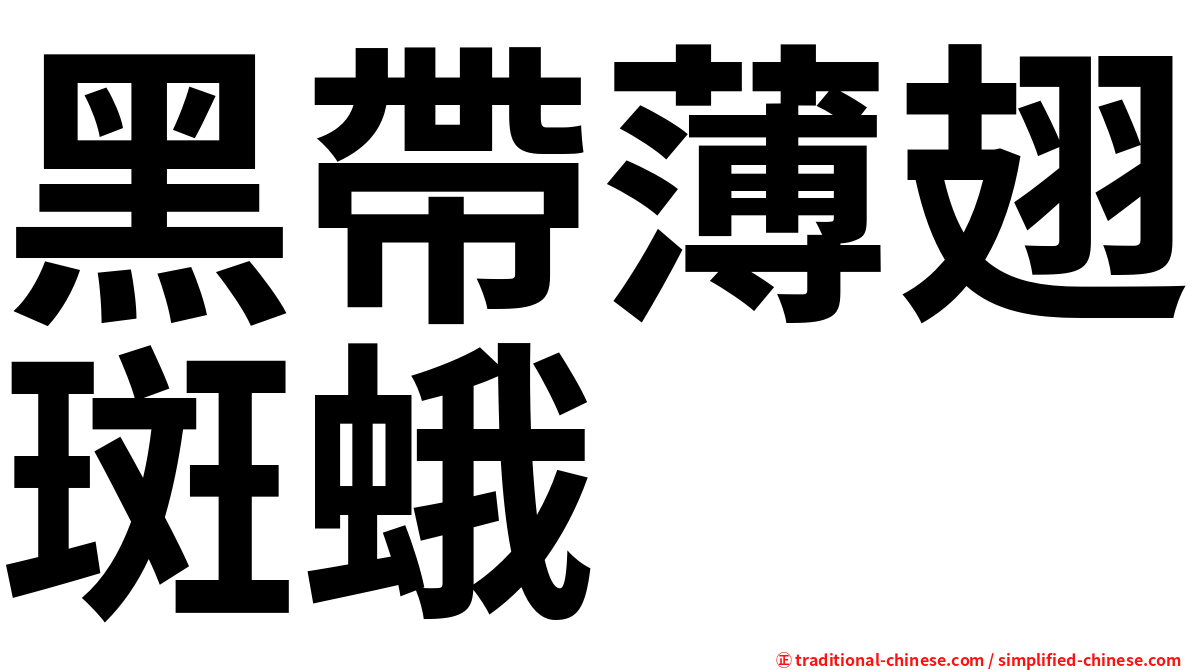 黑帶薄翅斑蛾