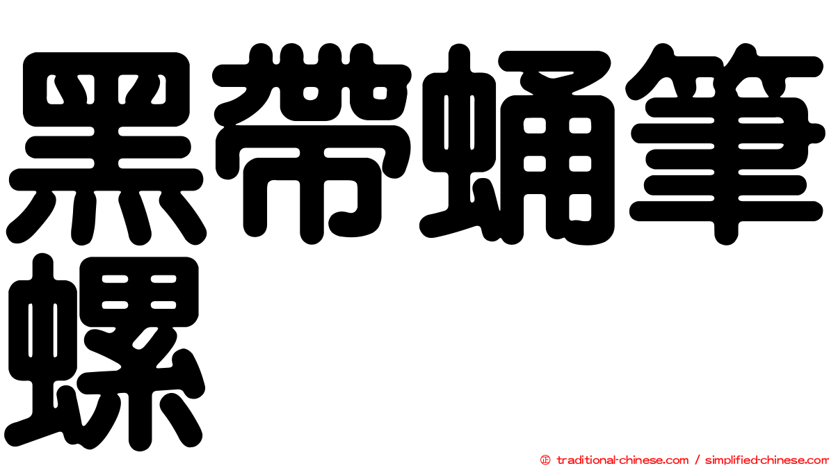 黑帶蛹筆螺