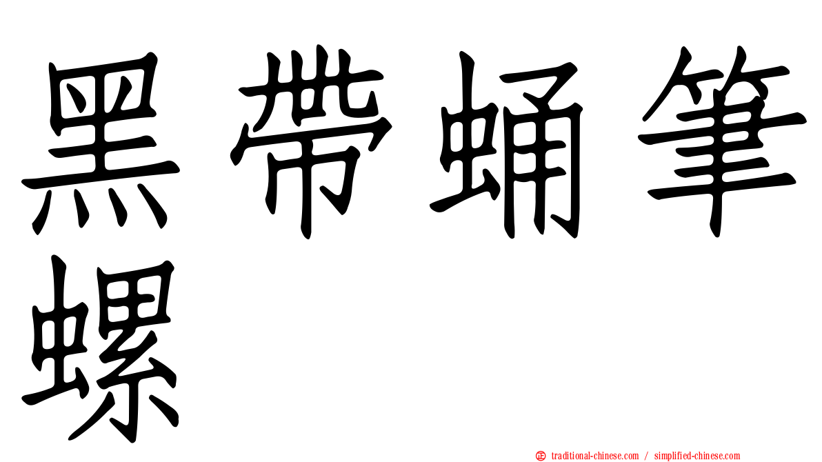 黑帶蛹筆螺