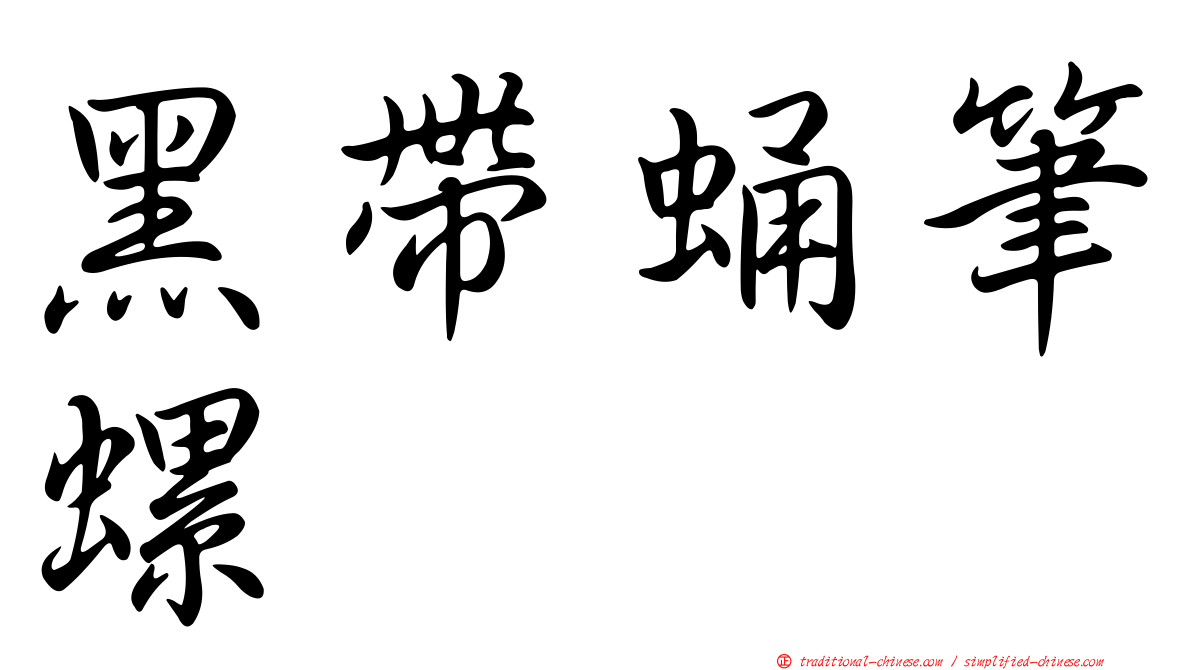 黑帶蛹筆螺