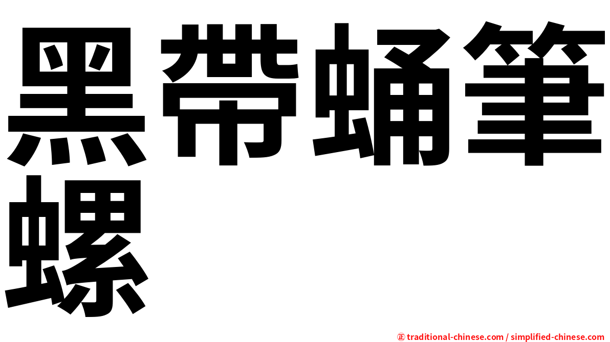黑帶蛹筆螺