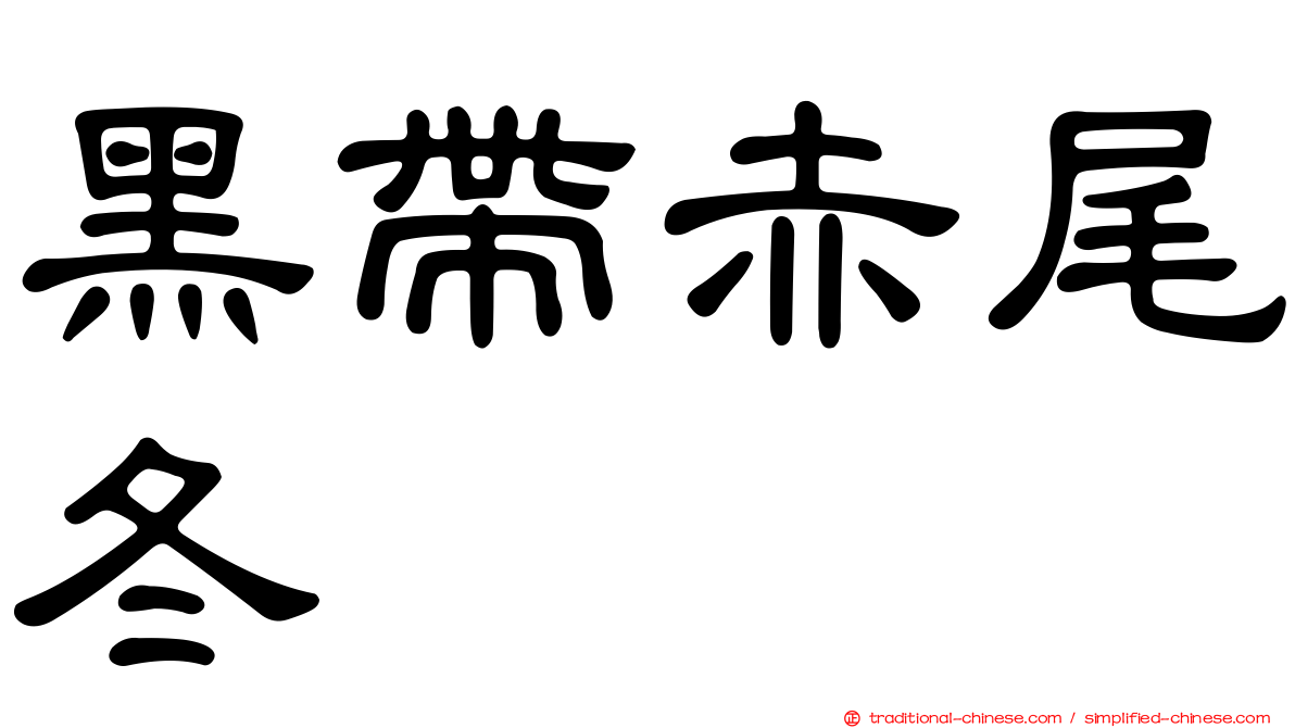 黑帶赤尾冬