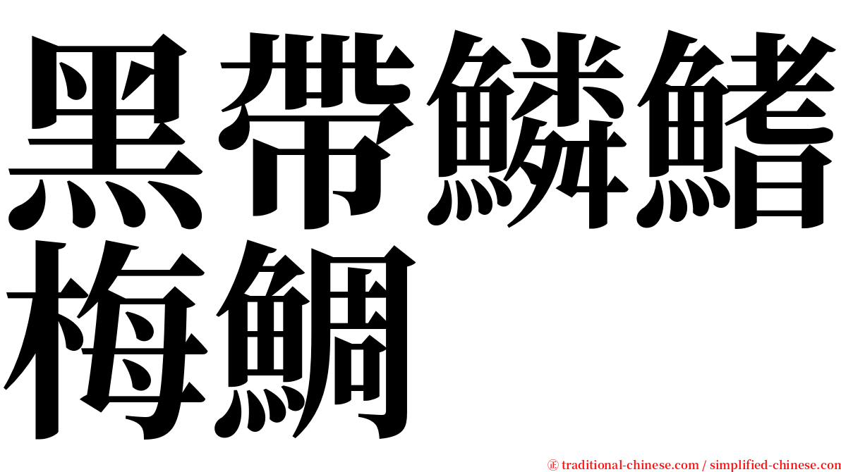 黑帶鱗鰭梅鯛 serif font