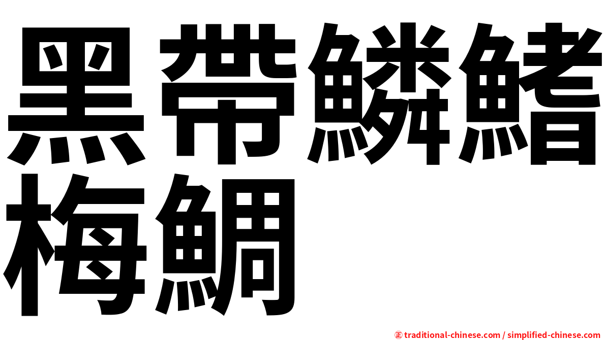 黑帶鱗鰭梅鯛