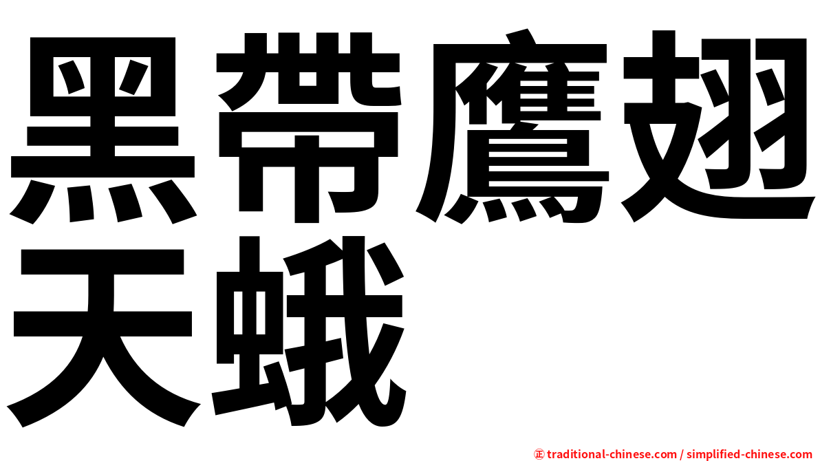 黑帶鷹翅天蛾