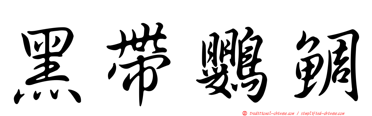 黑帶鸚鯛