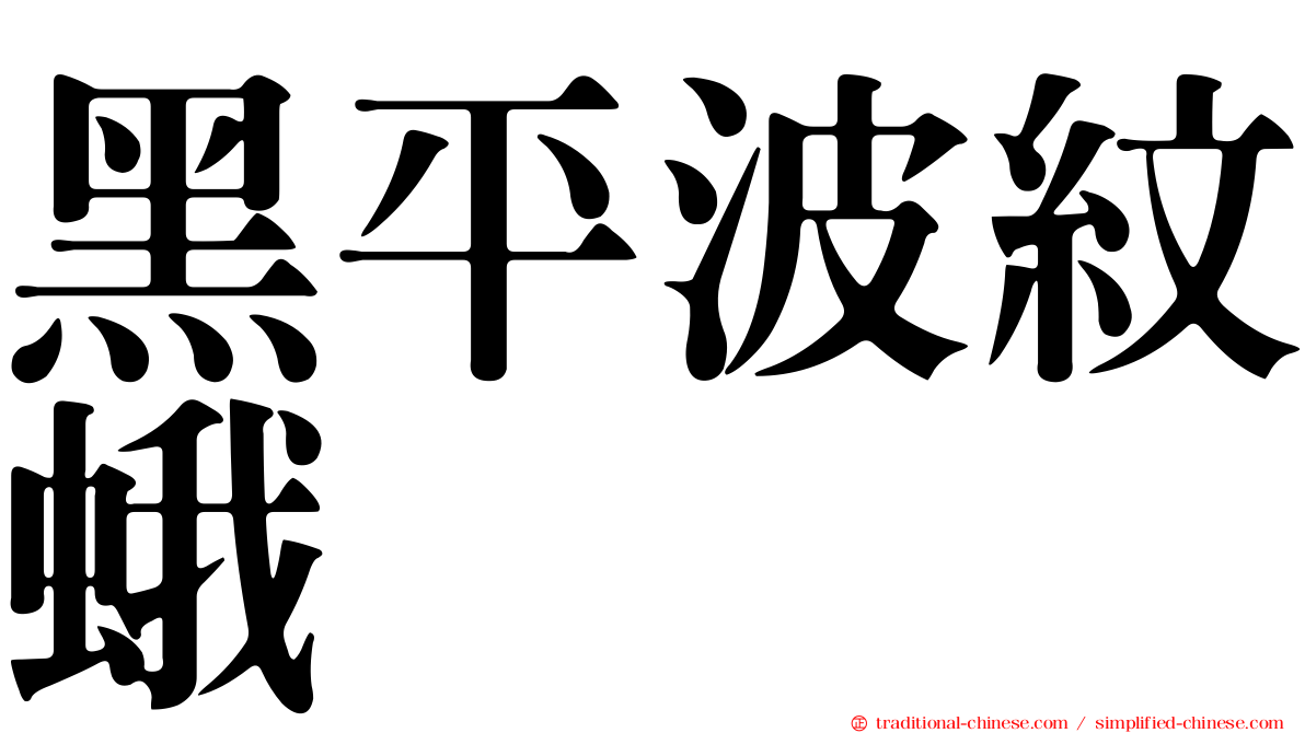 黑平波紋蛾