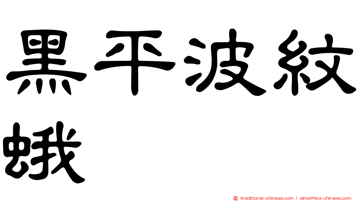 黑平波紋蛾