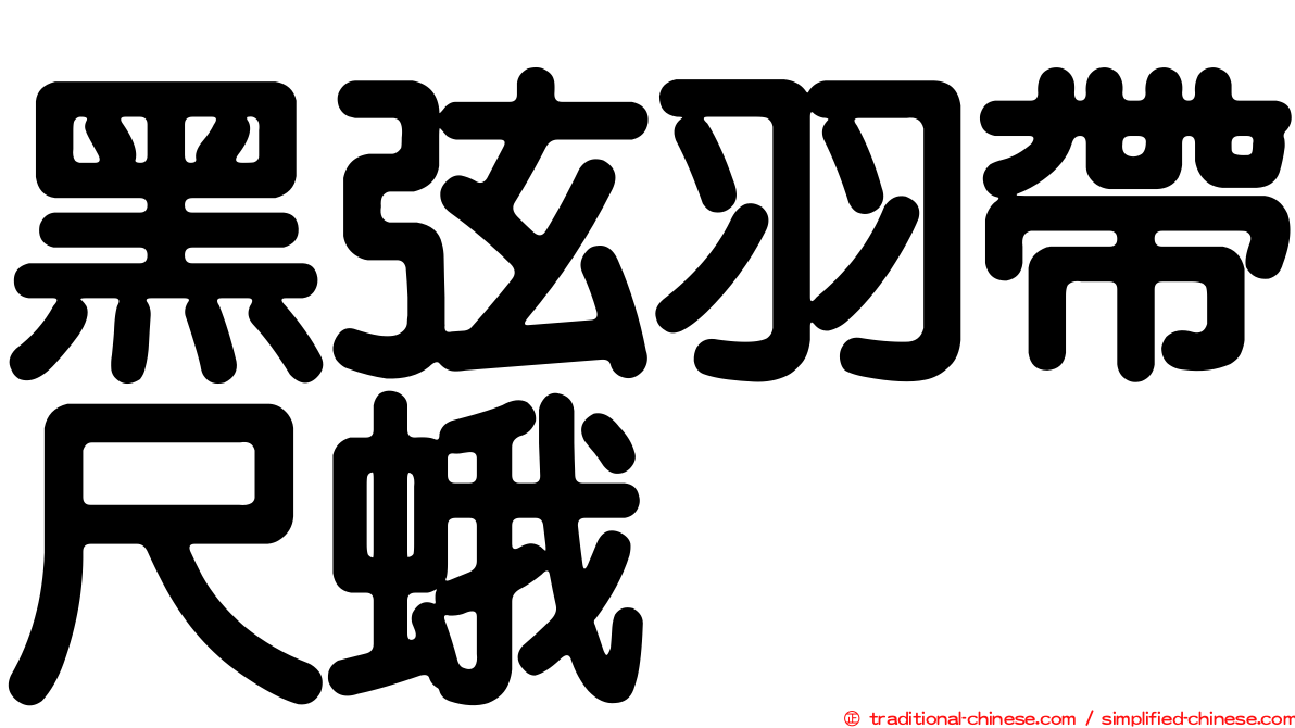黑弦羽帶尺蛾