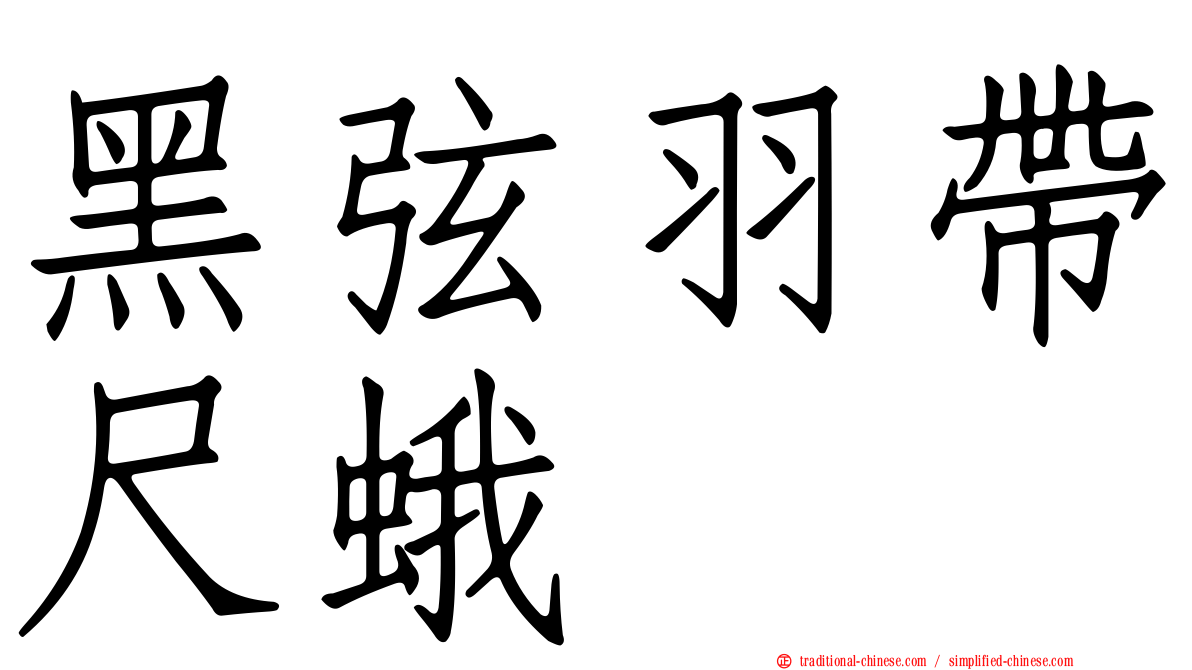 黑弦羽帶尺蛾