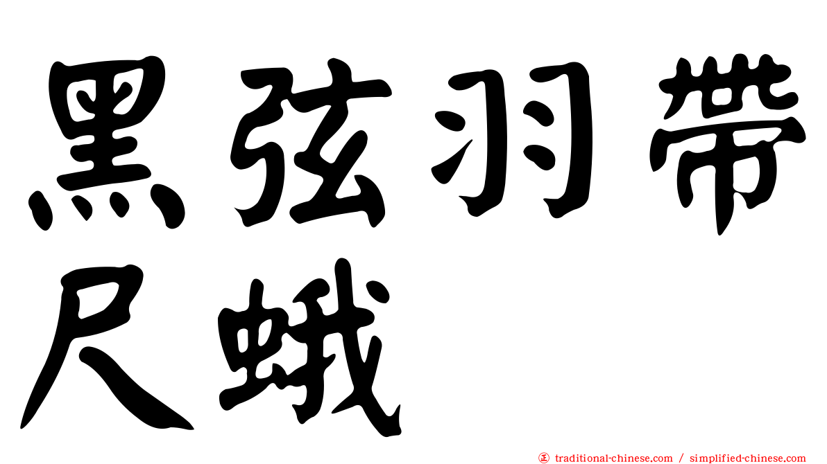 黑弦羽帶尺蛾