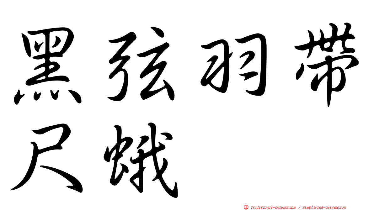 黑弦羽帶尺蛾