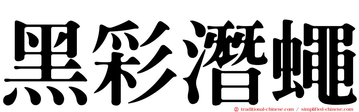 黑彩潛蠅