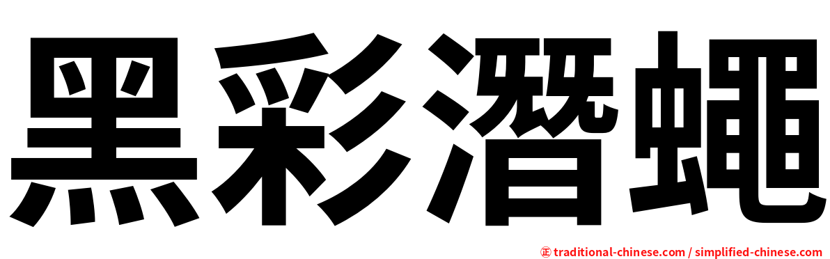 黑彩潛蠅