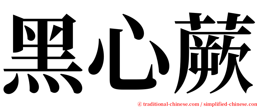 黑心蕨 serif font