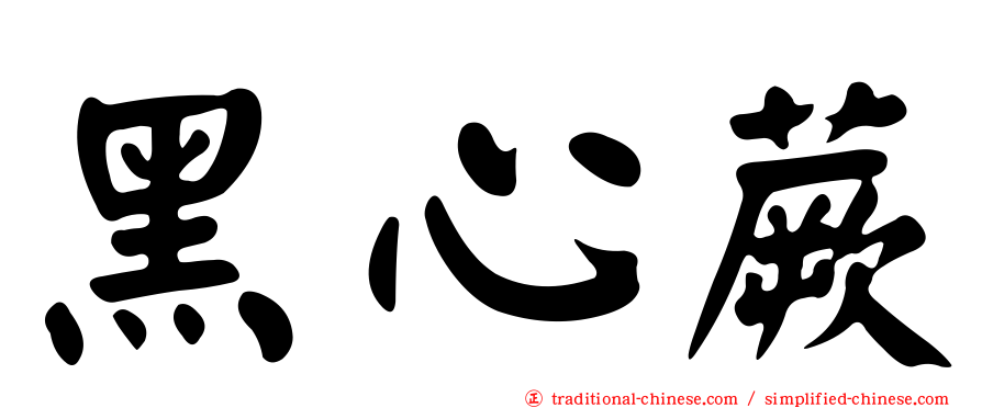 黑心蕨