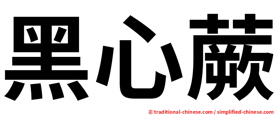黑心蕨