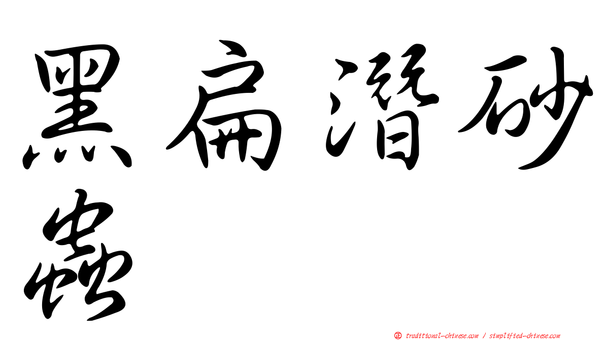 黑扁潛砂蟲