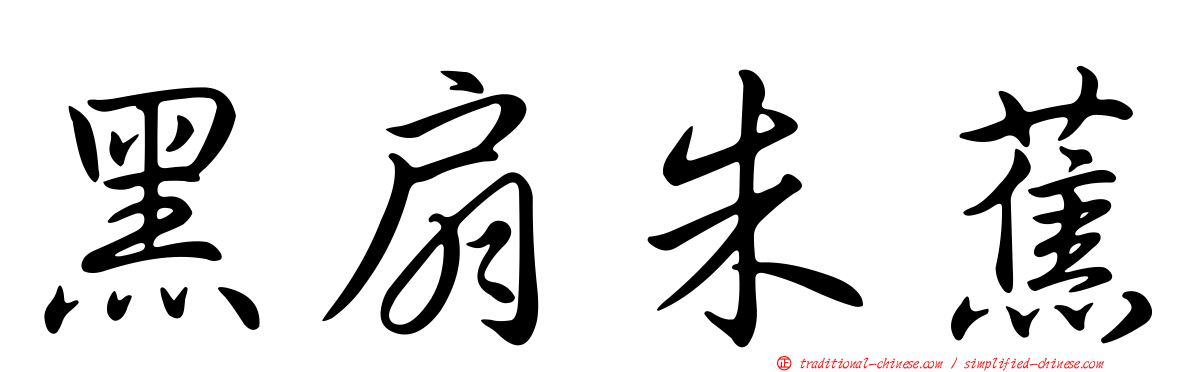 黑扇朱蕉