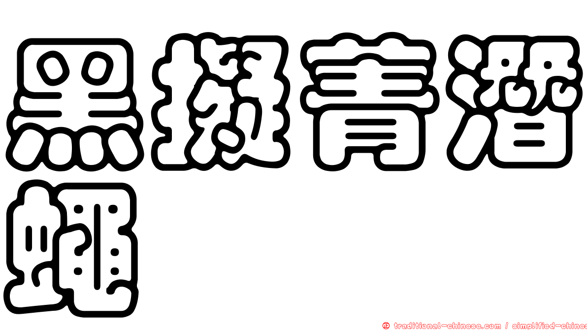 黑擬菁潛蠅