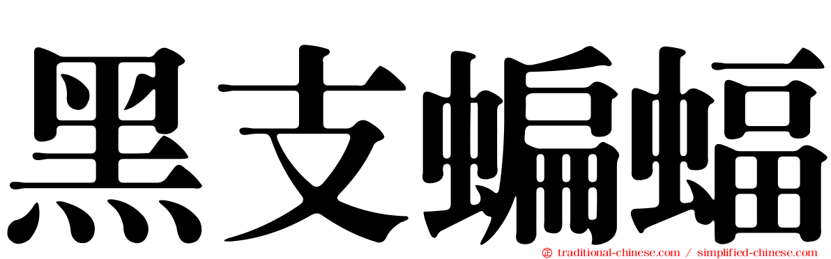 黑支蝙蝠