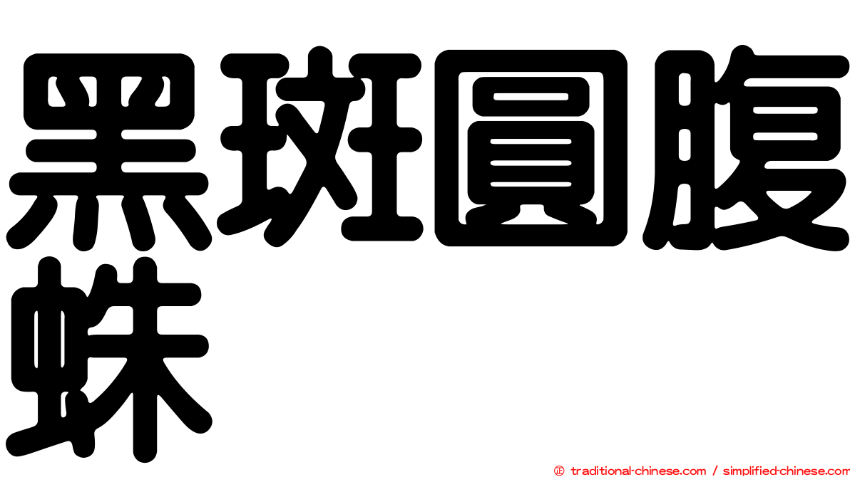 黑斑圓腹蛛
