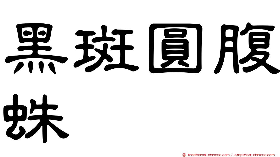 黑斑圓腹蛛