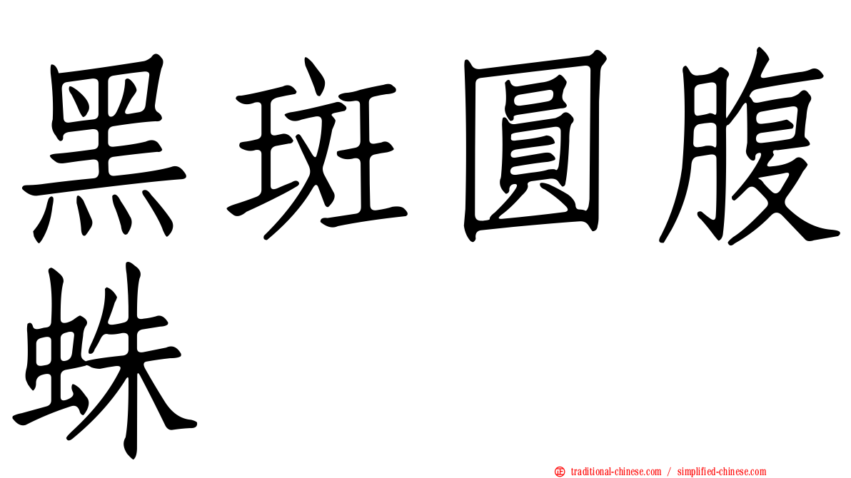 黑斑圓腹蛛