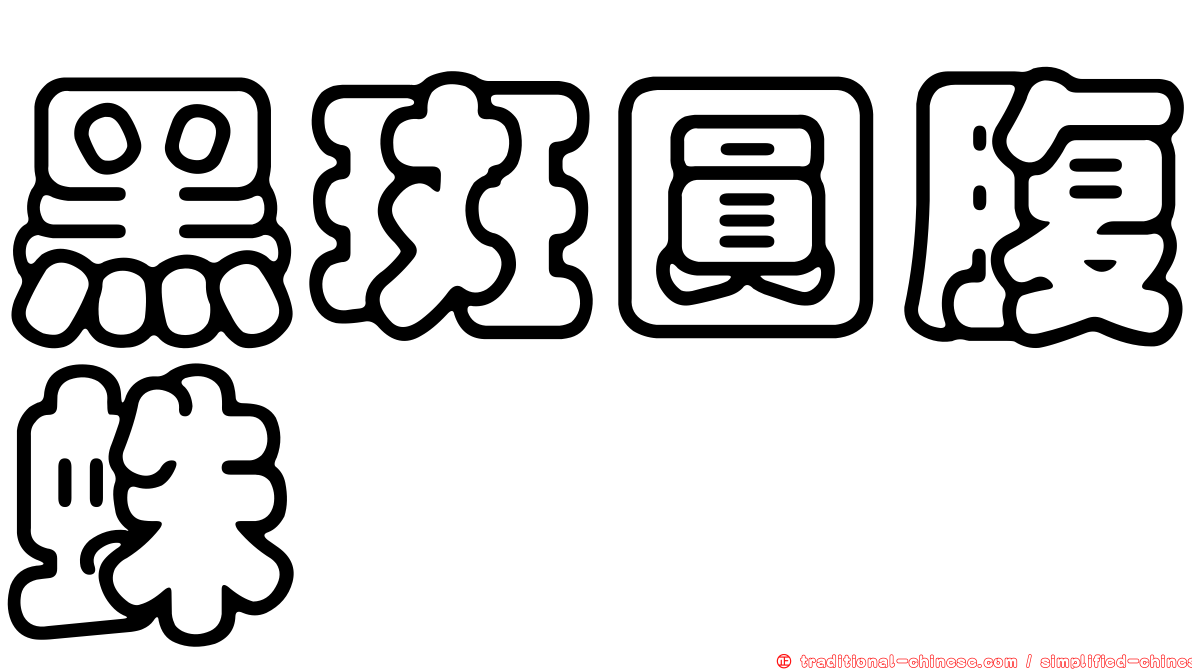 黑斑圓腹蛛