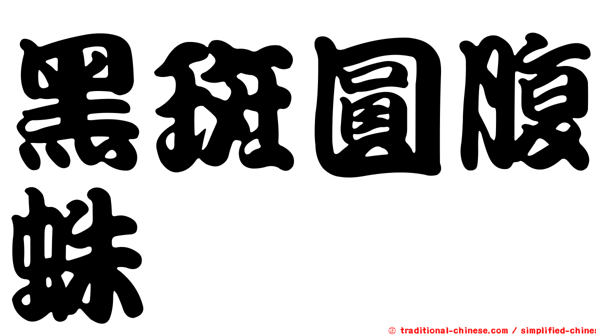 黑斑圓腹蛛