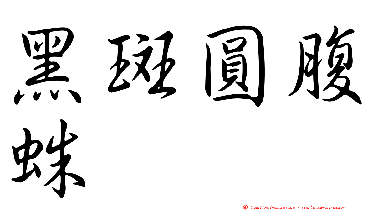 黑斑圓腹蛛