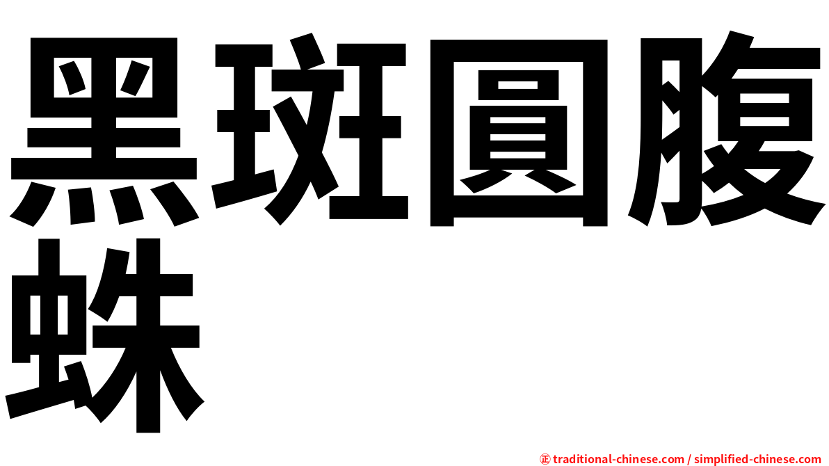 黑斑圓腹蛛
