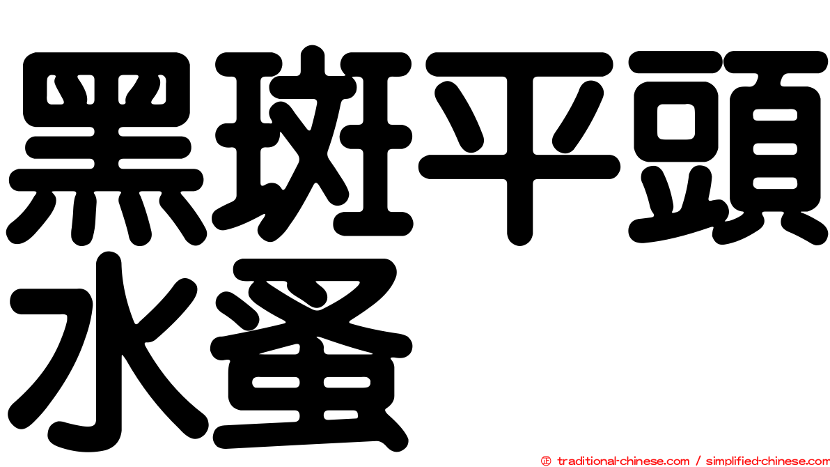 黑斑平頭水蚤