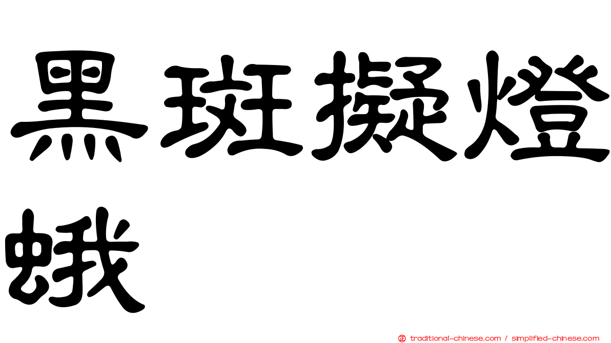 黑斑擬燈蛾