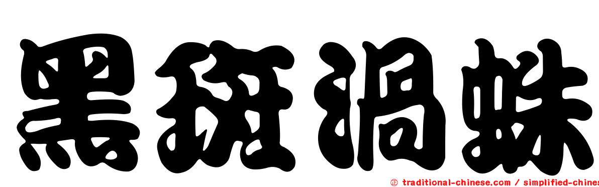 黑斑渦蛛