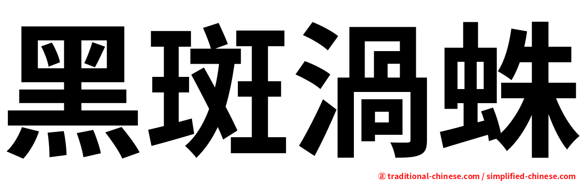 黑斑渦蛛